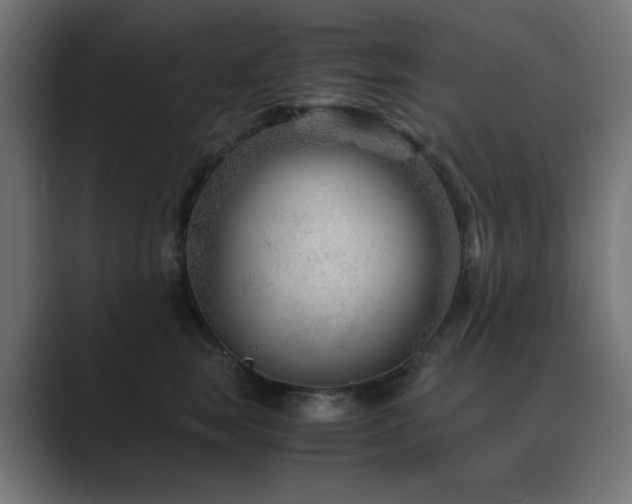 X0000089950663200706291212