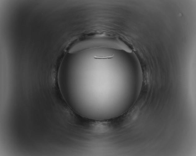 X0000089950664200706291212