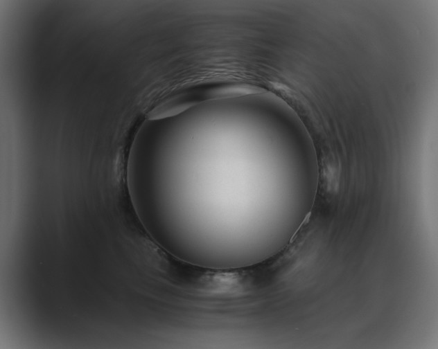 X0000089950665200706291212