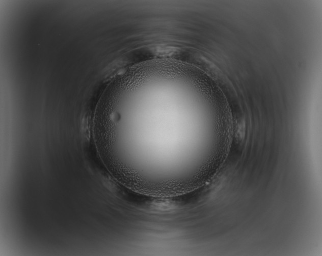 X0000089950666200706291212