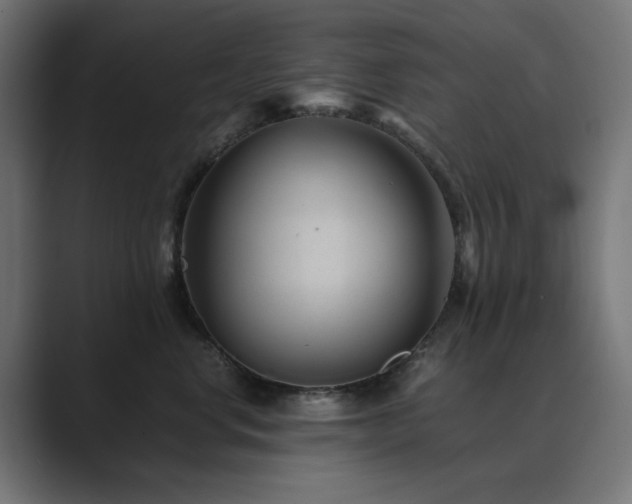X0000089950668200706291212