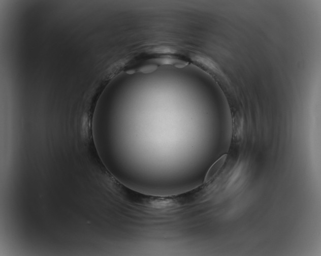 X0000089950669200706291212