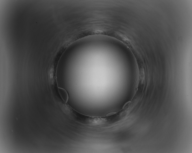 X0000089950670200706291212