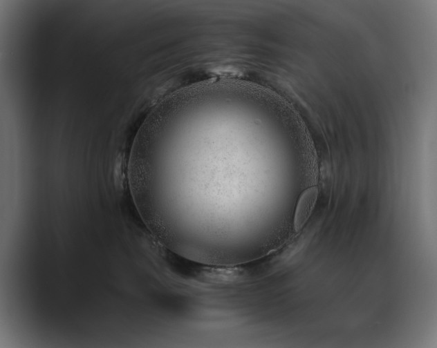 X0000089950671200706291212
