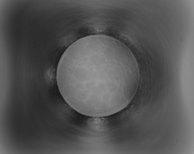 X0000089950672200706291213