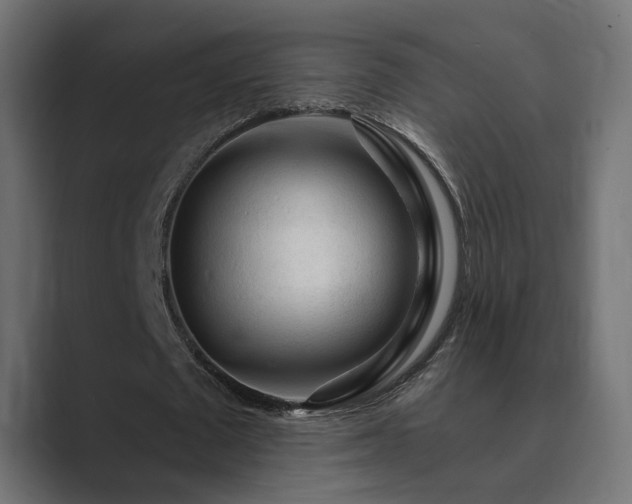 X0000089950673200706291212