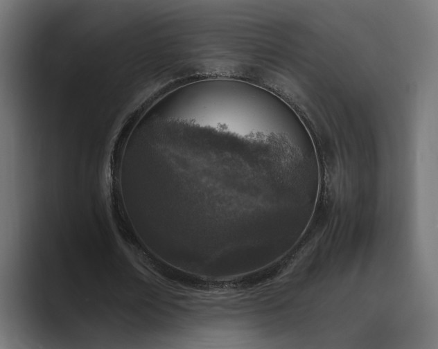 X0000089950674200706291212