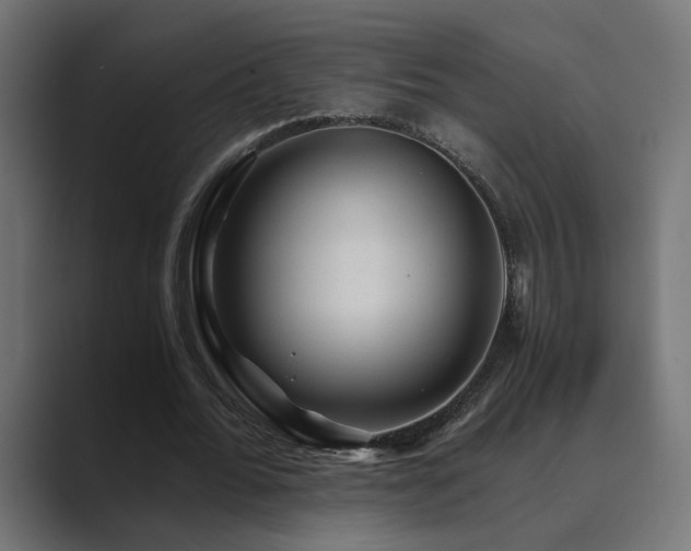 X0000089950676200706291212