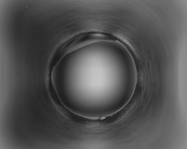 X0000089950677200706291212