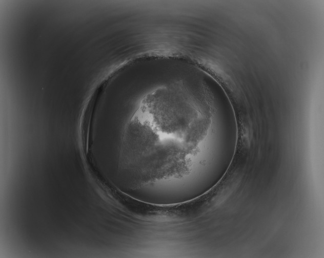 X0000089950678200706291212