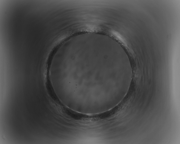 X0000089950679200706291212