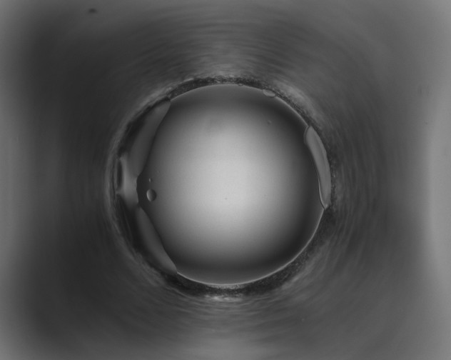 X0000089950680200706291212
