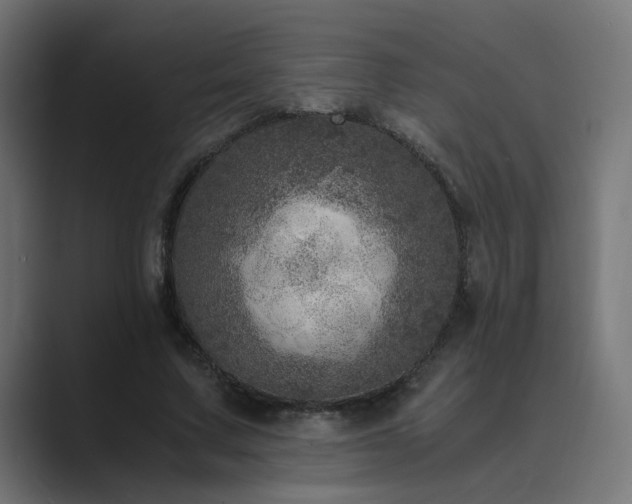 X0000089950683200706291212