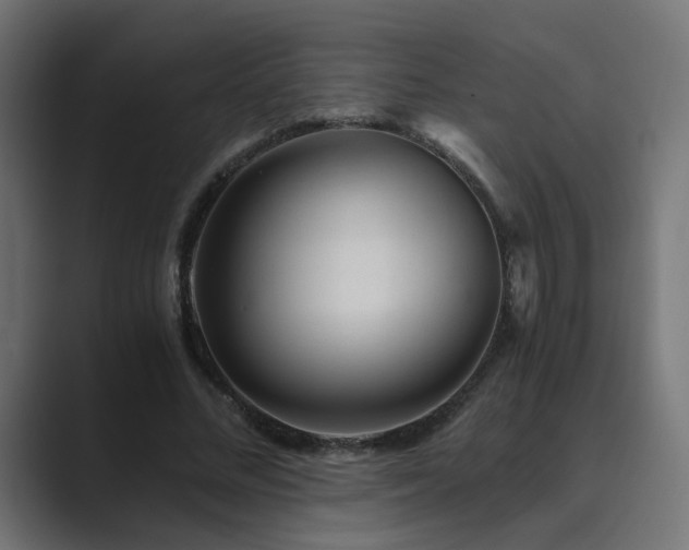 X0000089950684200706291212