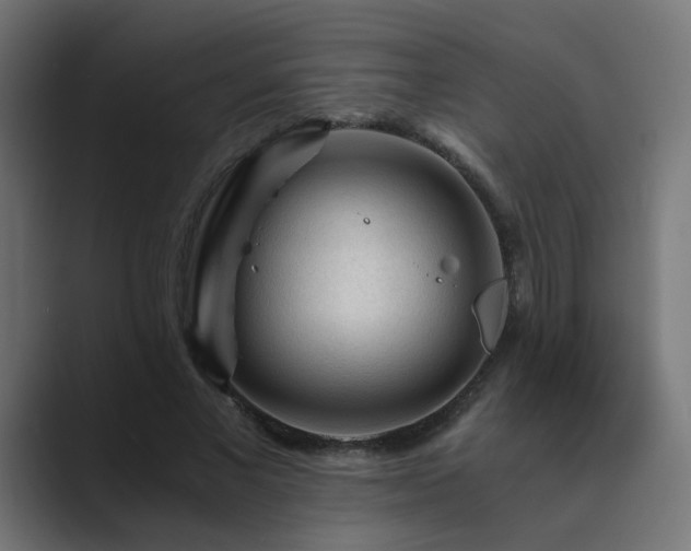 X0000089950685200706291212
