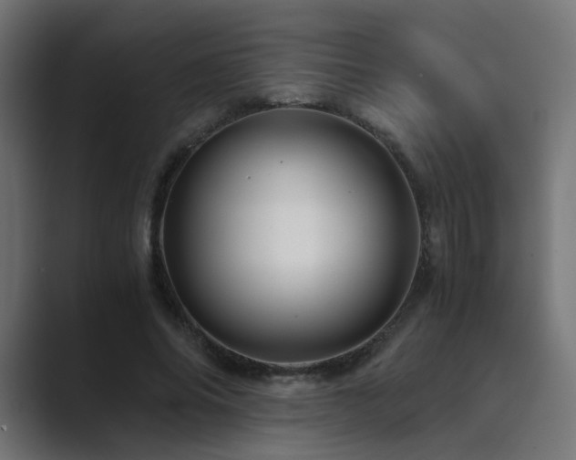 X0000089950686200706291212