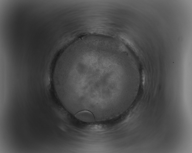X0000089950687200706291212