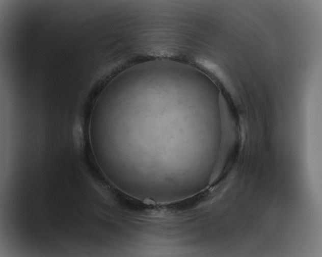 X0000089950688200706291212
