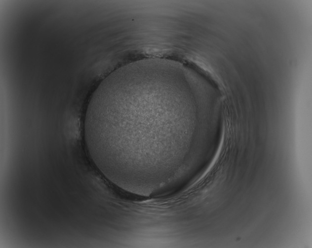 X0000089950689200706291212