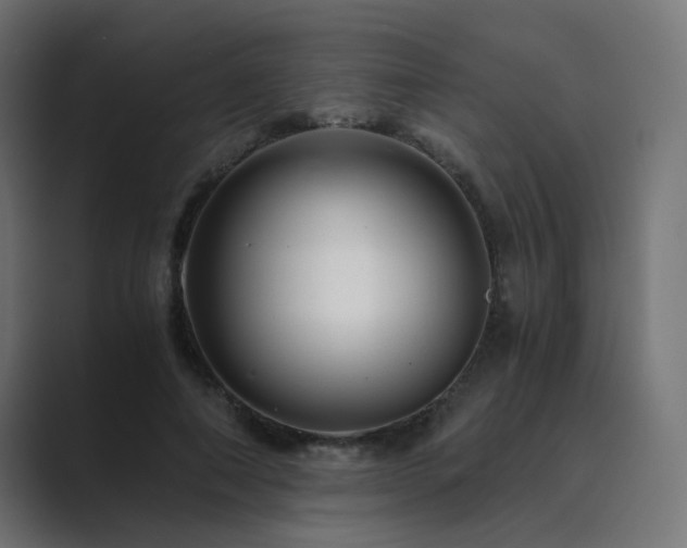 X0000089950690200706291212
