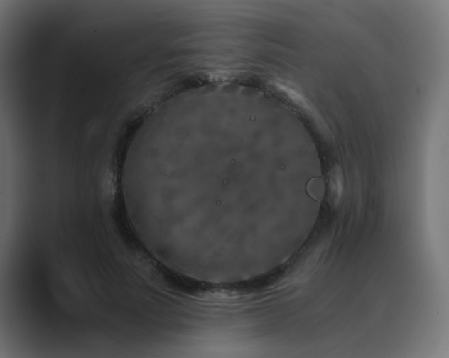 X0000089950691200706291212