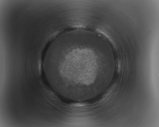 X0000089950692200706291212