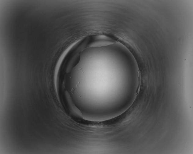 X0000089950693200706291212