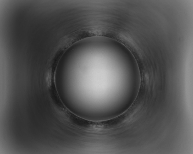 X0000089950694200706291212