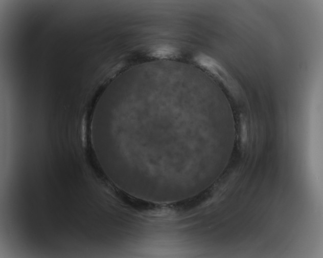 X0000089950696200706291212
