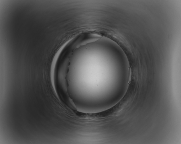 X0000089950697200706291212