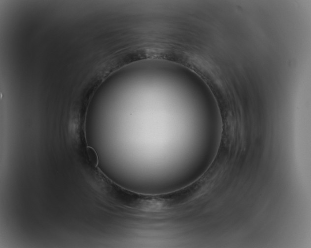 X0000089950698200706291212
