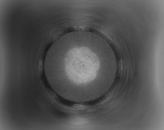 X0000089950699200706291212