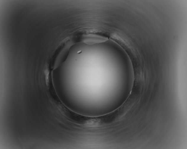 X0000089950700200706291212