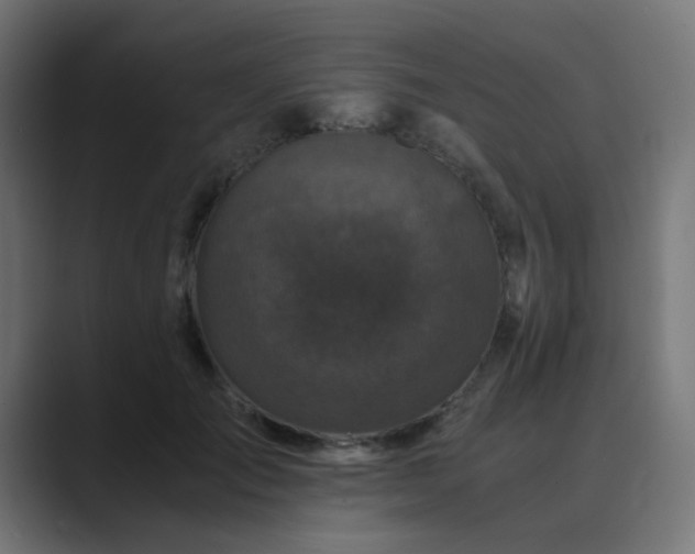 X0000089950701200706291212