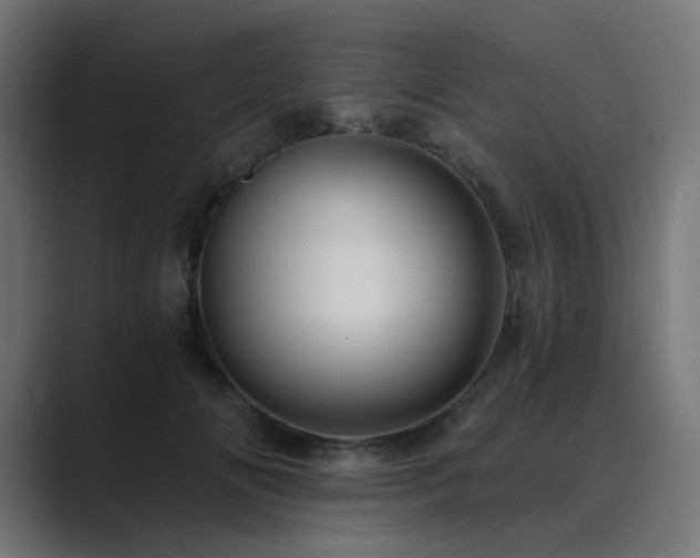 X0000089950702200706291212