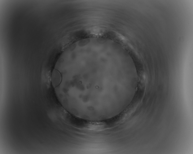X0000089950707200706291212