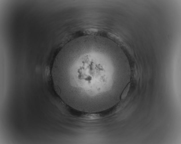 X0000089950711200706291212