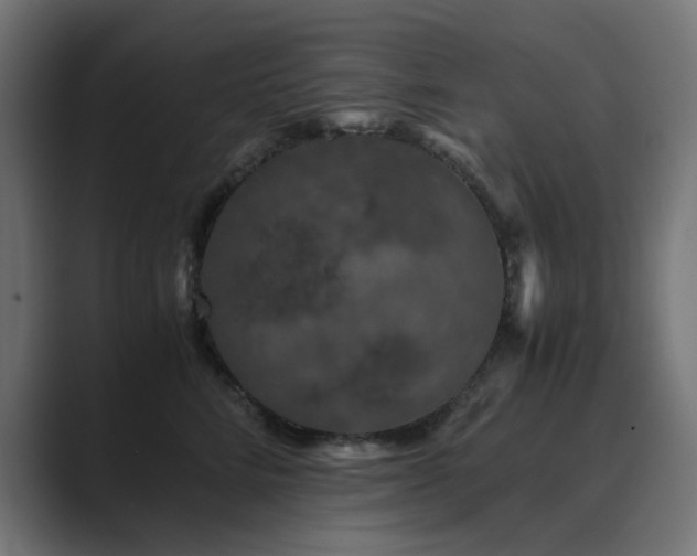 X0000089950712200706291212