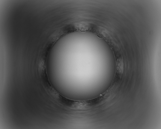 X0000089950713200706291211