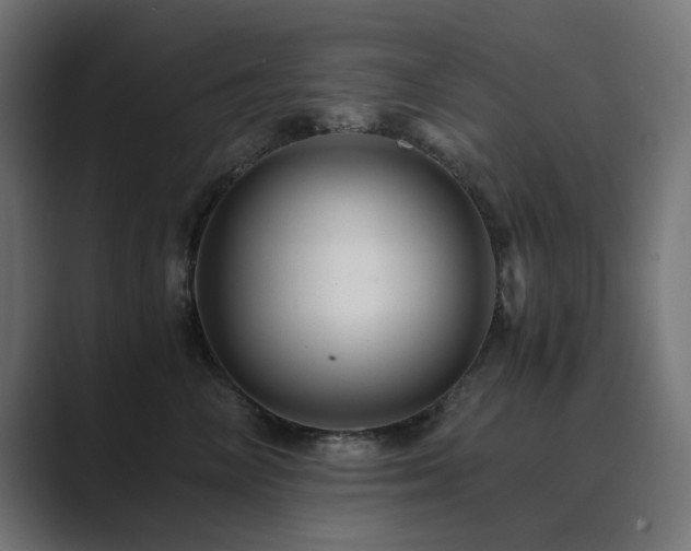 X0000089950714200706291211