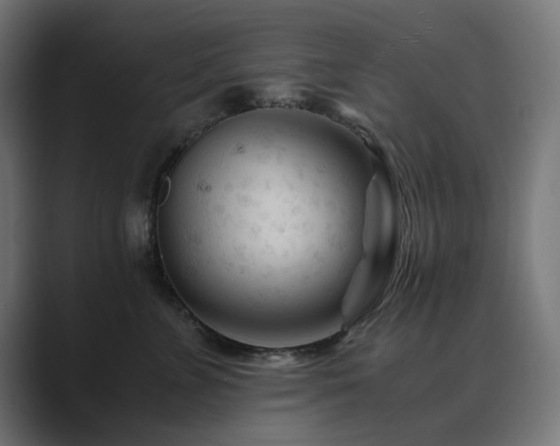 X0000089950715200706291211