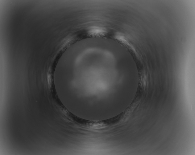 X0000089950716200706291211