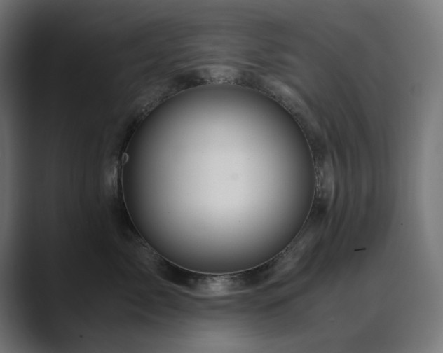 X0000089950717200706291211