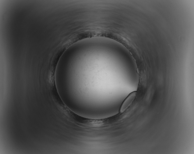 X0000089950719200706291211