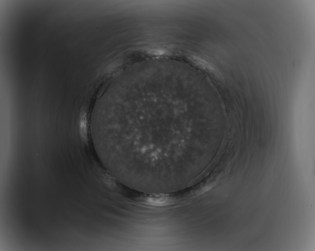 X0000089950720200706291211