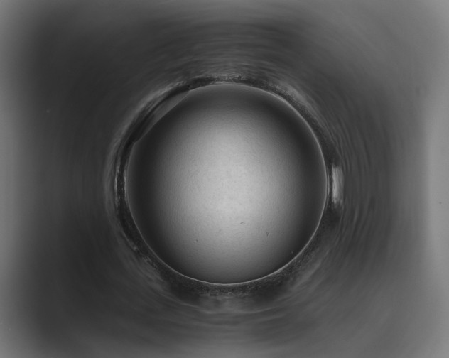 X0000089950723200706291211