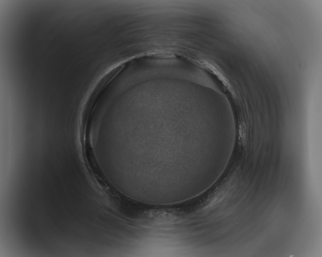 X0000089950724200706291211