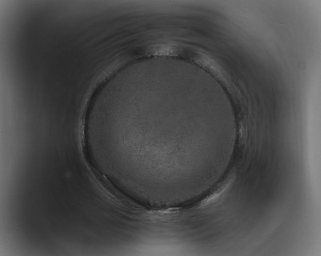 X0000089950725200706291211