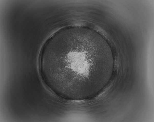 X0000089950726200706291211