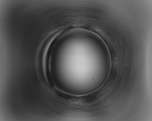 X0000089950727200706291211
